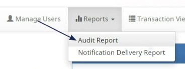 Screenshot of the 'Audit Report' section in a banking application, with an arrow pointing to the report filter options.