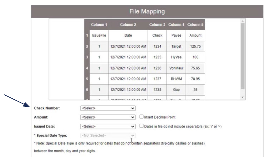 Image of File Mapping showing where to locate Special Date Type.