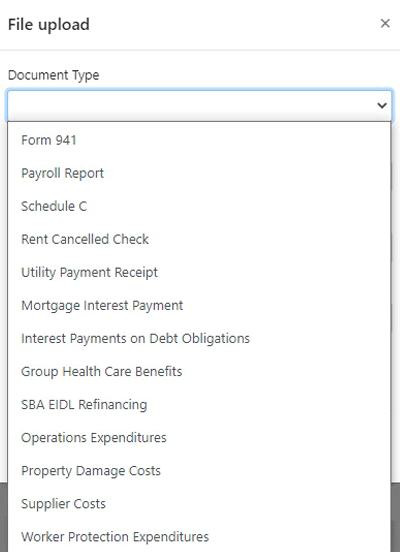 Screenshot of loan portal showing the document type selection drop down.